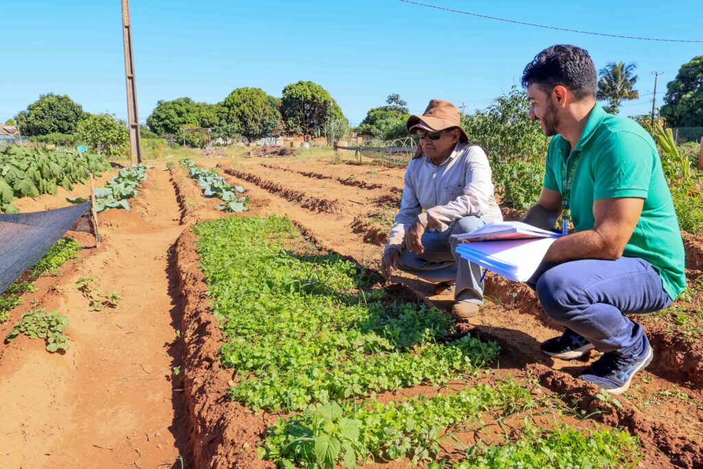 Palmas expande hortas comunitárias e promete alimentar 200 famílias